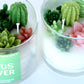 Cactus Flower Container Candle